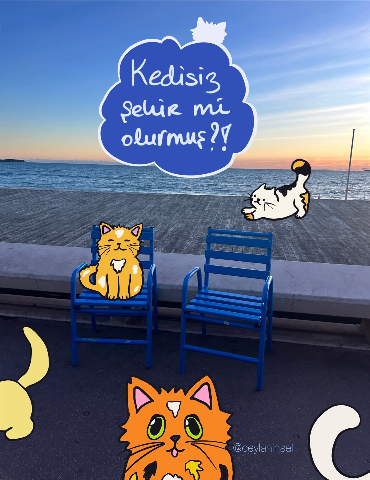 Fotoğrafınıza bir kedi eklensin!