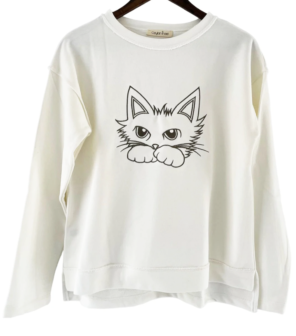 Solare - Curious cat