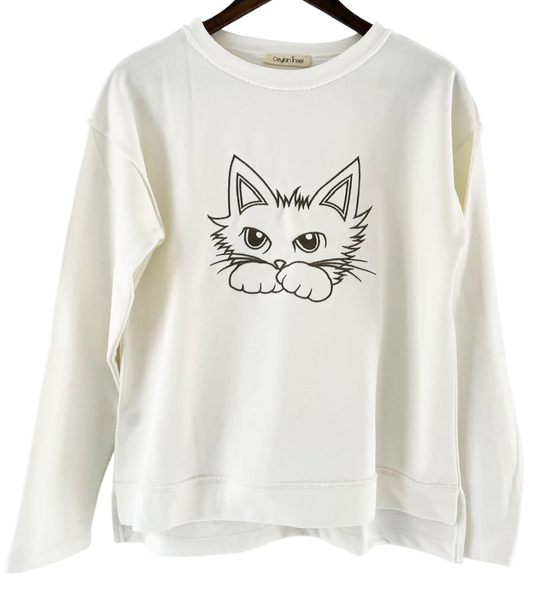 Solare - Curious cat